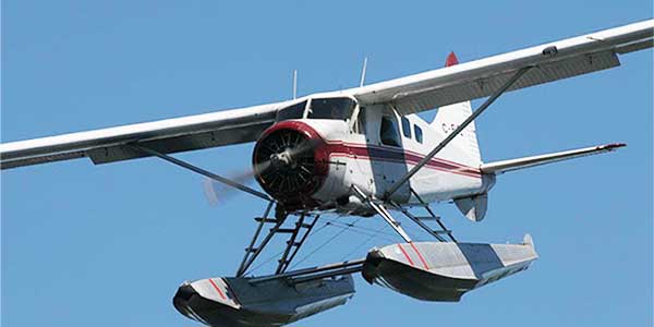 Beaver Fleet Image